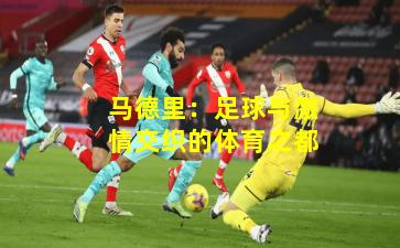 马德里：足球与激情交织的体育之都