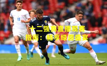 十二强赛直播观赛指南：畅享绿茵盛宴