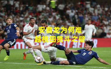 安赛龙为何难越桃田贤斗之壁