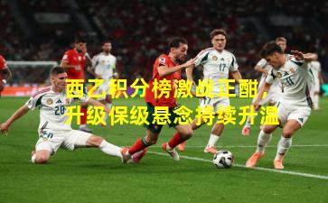 西乙积分榜激战正酣，升级保级悬念持续升温