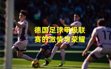 德国足球甲级联赛的激情与荣耀