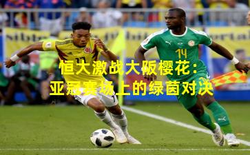 恒大激战大阪樱花：亚冠赛场上的绿茵对决